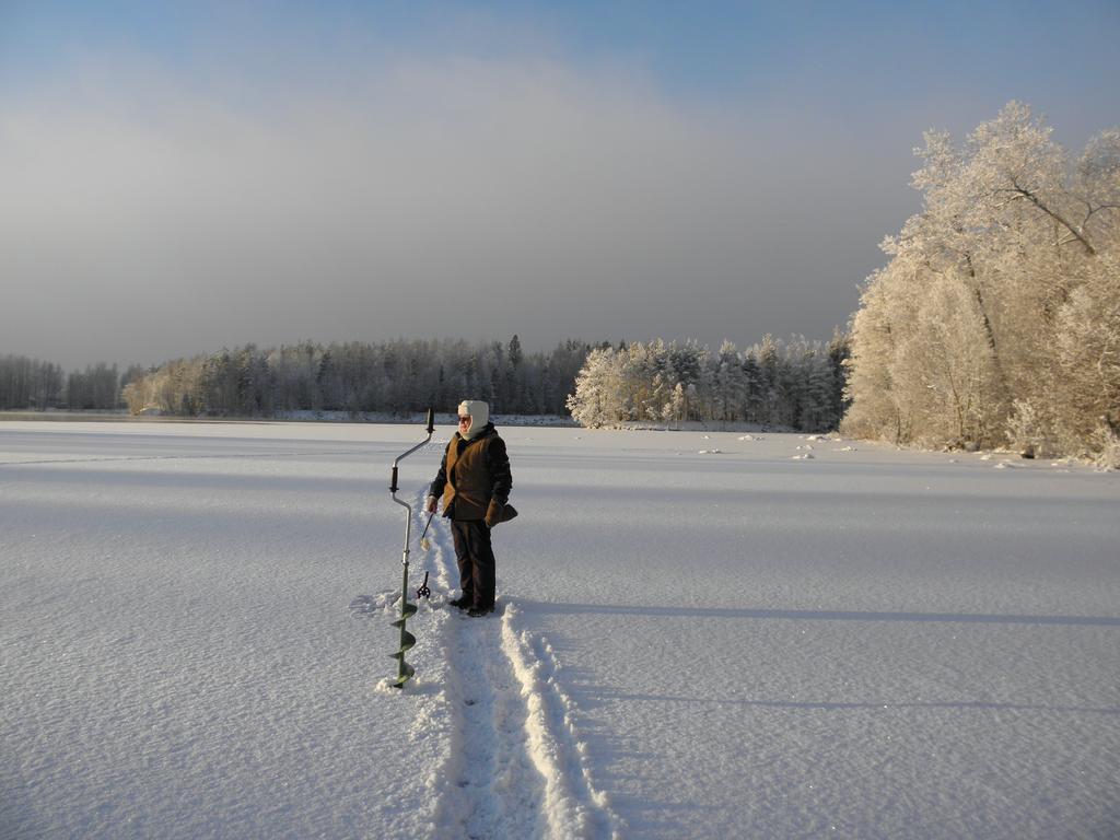 Neitsytniemen Kartano Bed & Breakfast Imatra Eksteriør bilde